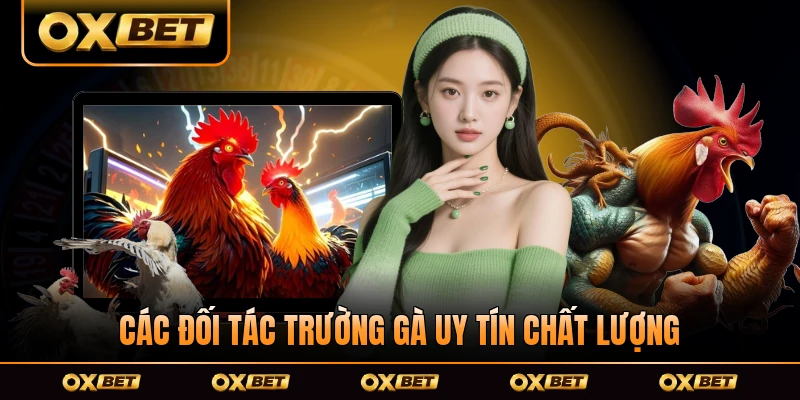 Các đối tác trường gà uy tín chất lượng nhất tại OXBET