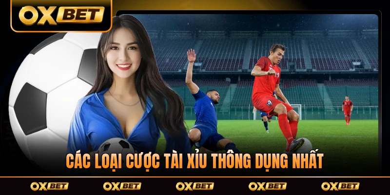 Các loại cược tài xỉu thông dụng nhất