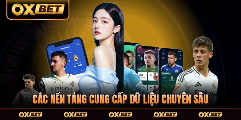 Các nền tảng cung cấp dữ liệu chuyên sâu do bên liên quan đôi jcung cấp