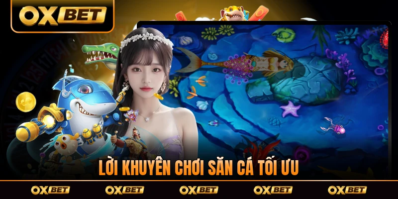Lời khuyên chơi săn cá tối ưu